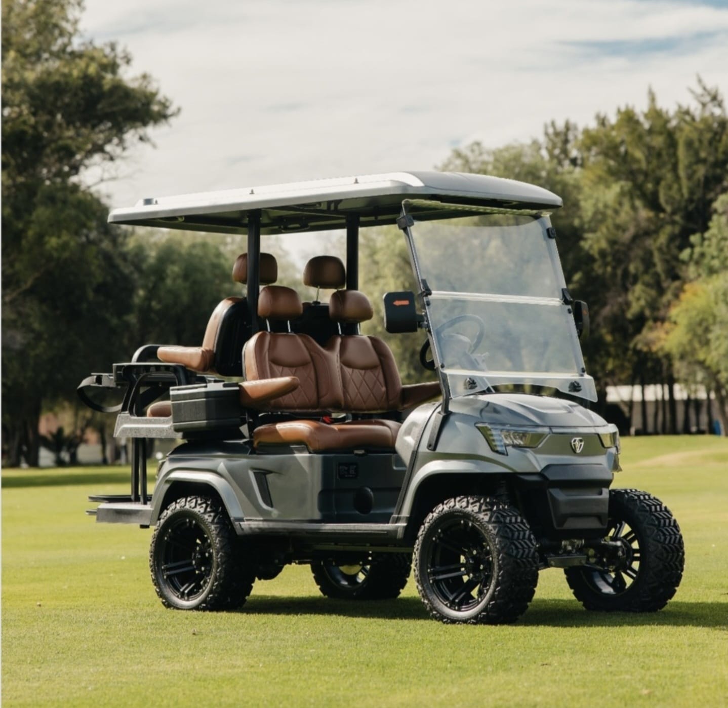 Premium 4-passenger electric golf cart