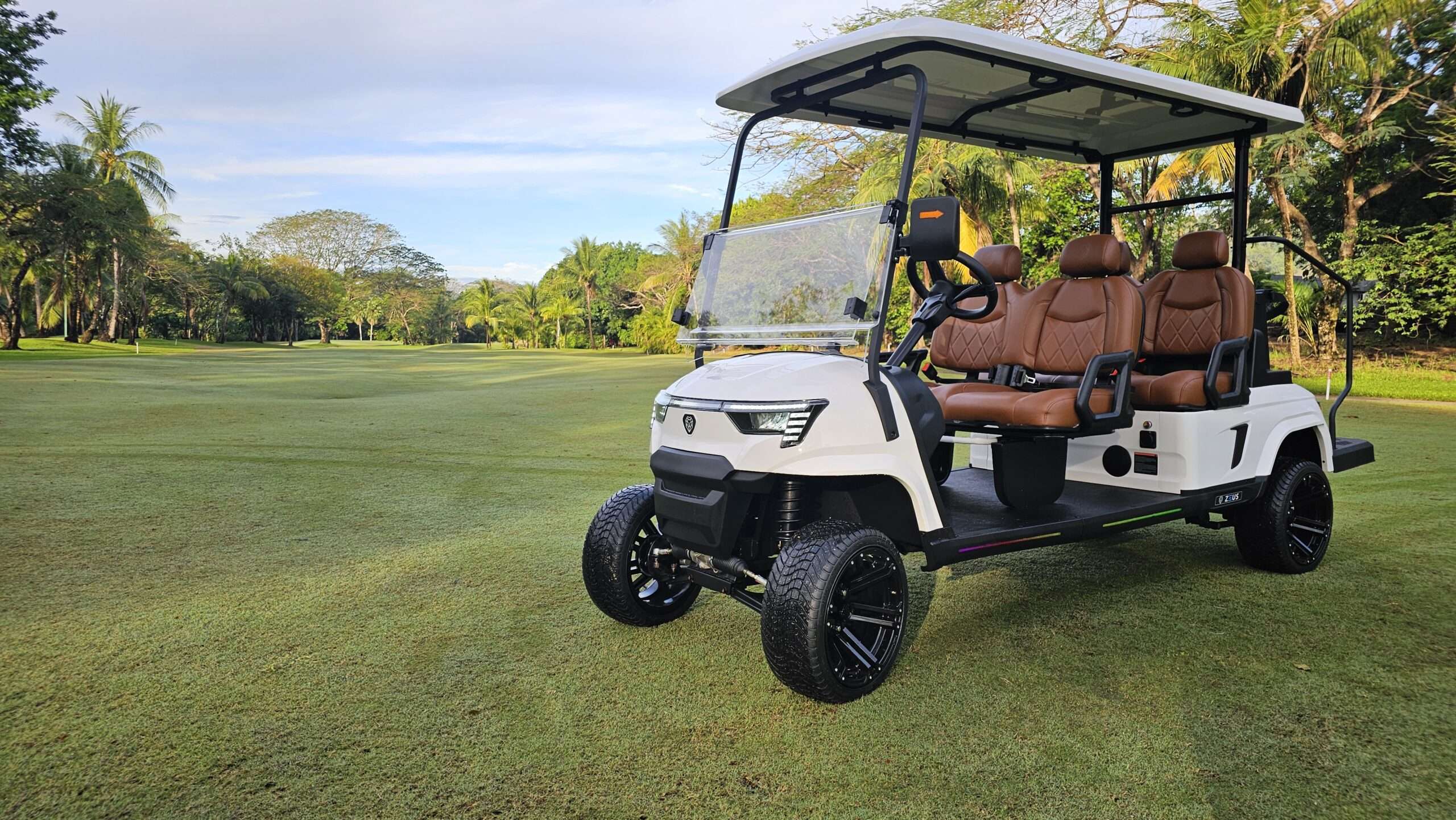 Premium electric golf cart parked on a tropical Playa Avellanas beach road